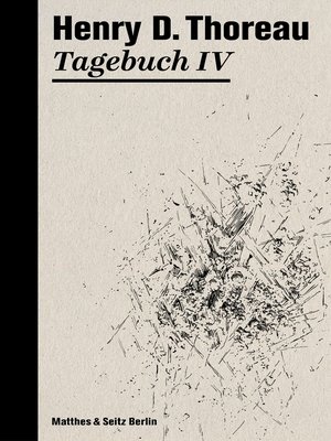 cover image of Tagebuch IV
